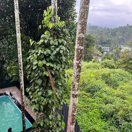 Easy Inn Wayanad Kaniyambetta Exterior photo